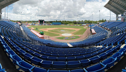 A baseball field with blue seats and grass.