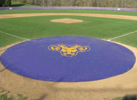 A baseball field with the logo of the lsu tigers.